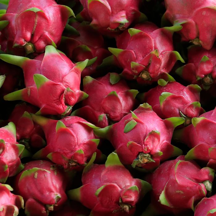 Dragon Fruit