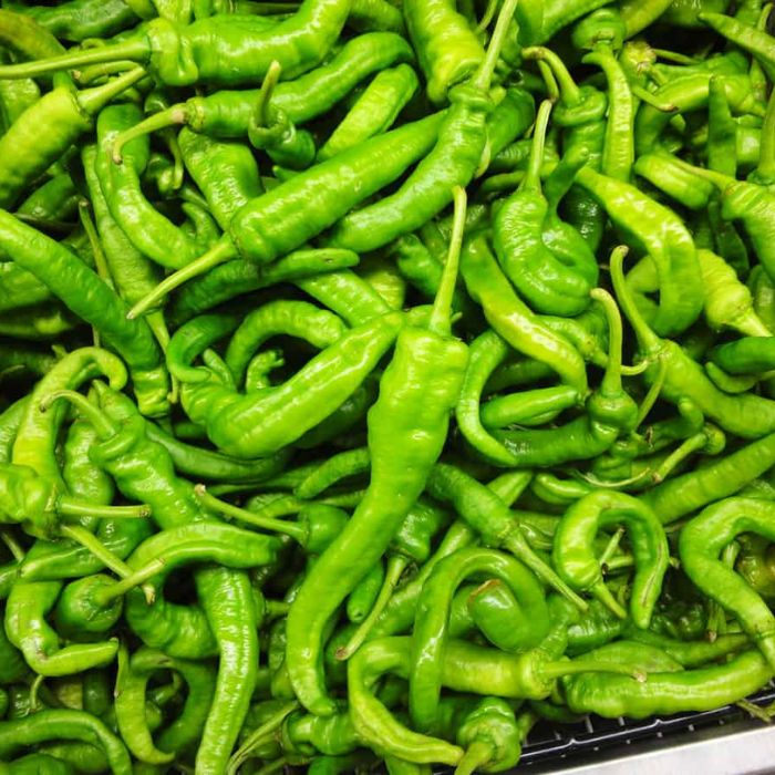 Green Chilli Pepper