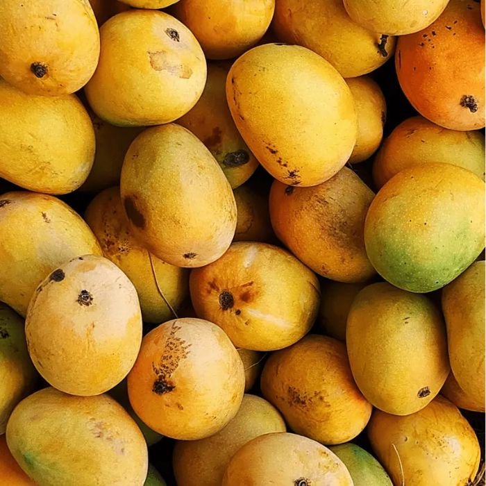 Mango