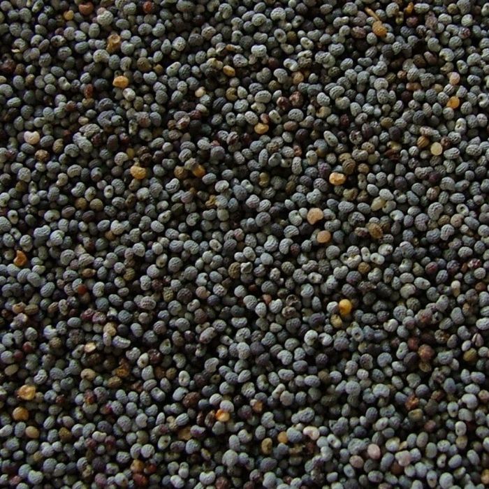 Poppy Seeds