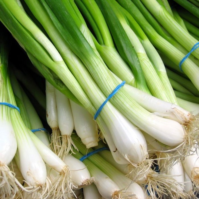 Spring Onions