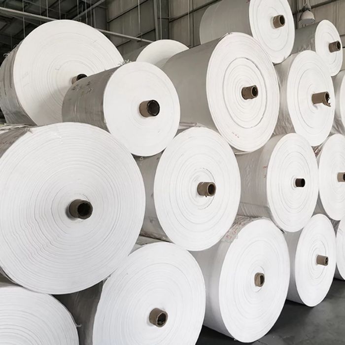 Polypropylene Rolls