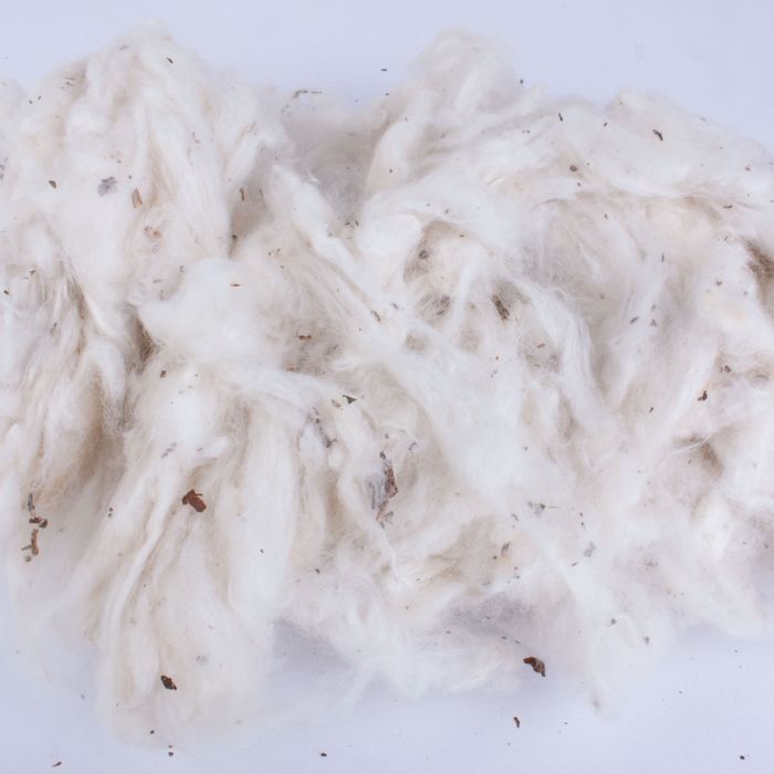 Raw Cotton