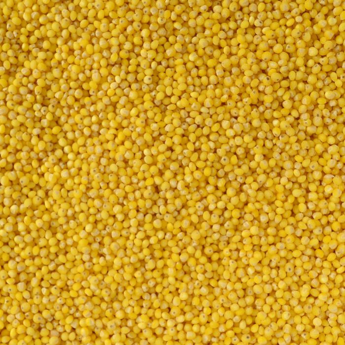 Yellow Millet